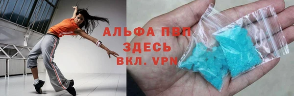 сатива Абинск