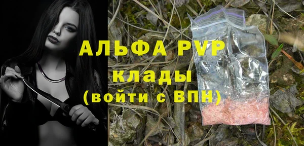 стаф Абаза