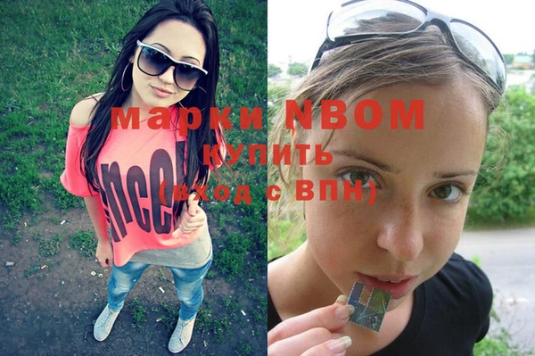 сатива Абинск