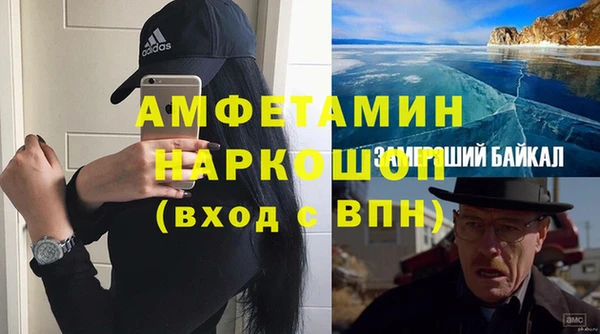 сатива Абинск