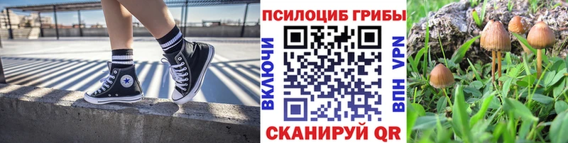Псилоцибиновые грибы мухоморы  кракен ссылки  Железноводск 